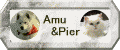 Amu&Pier